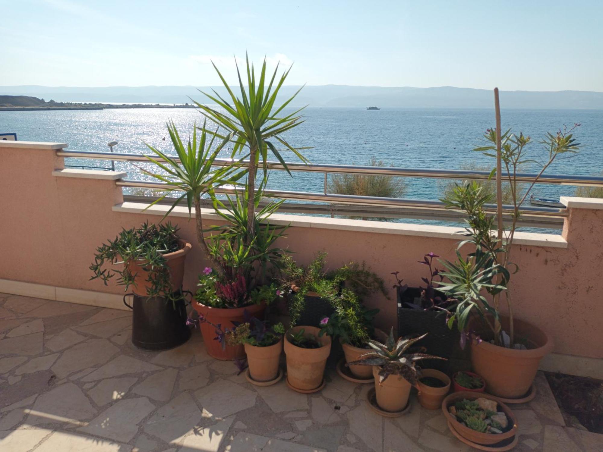 Ferienwohnung Cici Dugi Rat Exterior foto